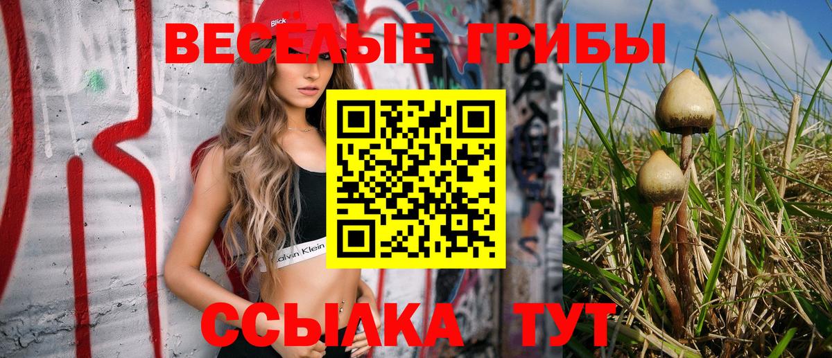 Галлюциногенные грибы Psilocybine cubensis  Вход с VPN  Кировск 